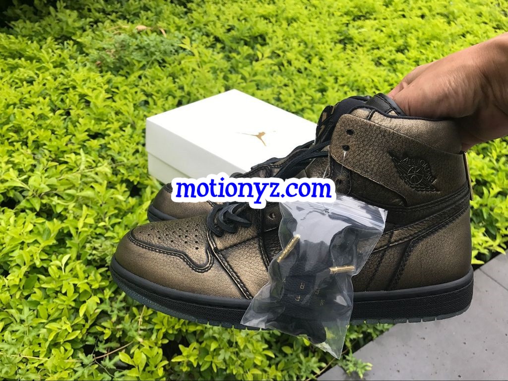 Authentic Air Jordan 1 High Wings